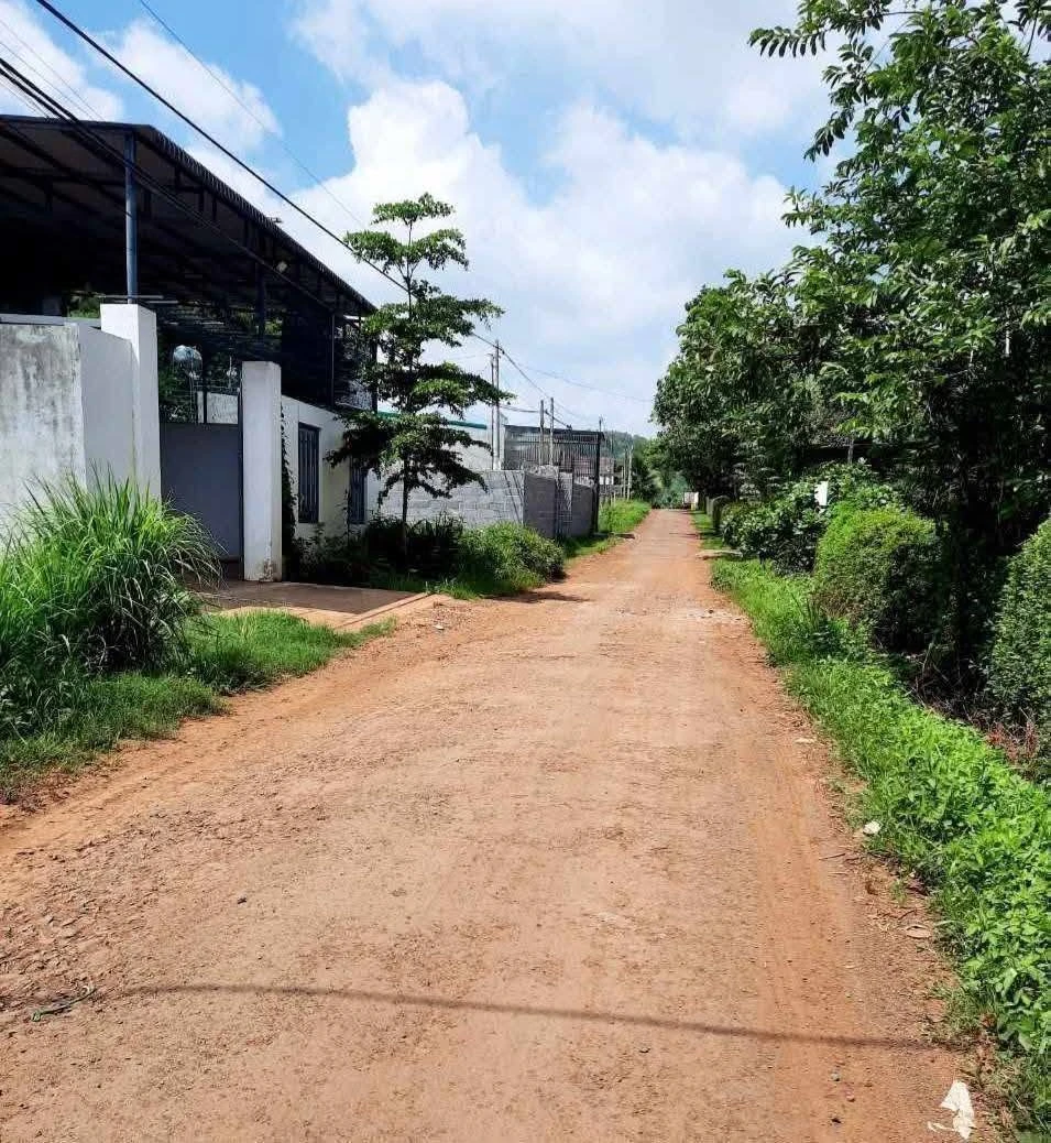 Bán lô đất 15x26m hẻm 369 Nguyễn Thị Định, Phường Thành Nhất, Buôn Ma Thuột, giá 1,35 tỷ - Ảnh 1