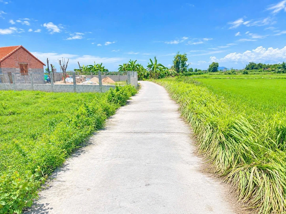 Bán đất 1000m2 Phan Thiết, sổ hồng, mặt tiền 36m - Ảnh thu nhỏ 3