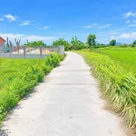 Bán đất 1000m2 Phan Thiết, sổ hồng, mặt tiền 36m - Ảnh thu nhỏ 3