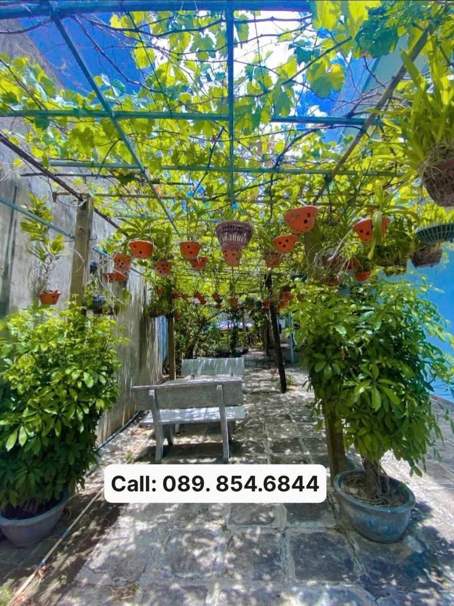 Bán lô đất hẻm 147m² Nguyễn Thái Học, Phường Tuy Hòa - Ảnh thu nhỏ 2