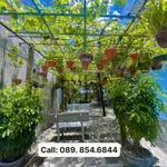 Bán lô đất hẻm 147m² Nguyễn Thái Học, Phường Tuy Hòa - Ảnh thu nhỏ 2
