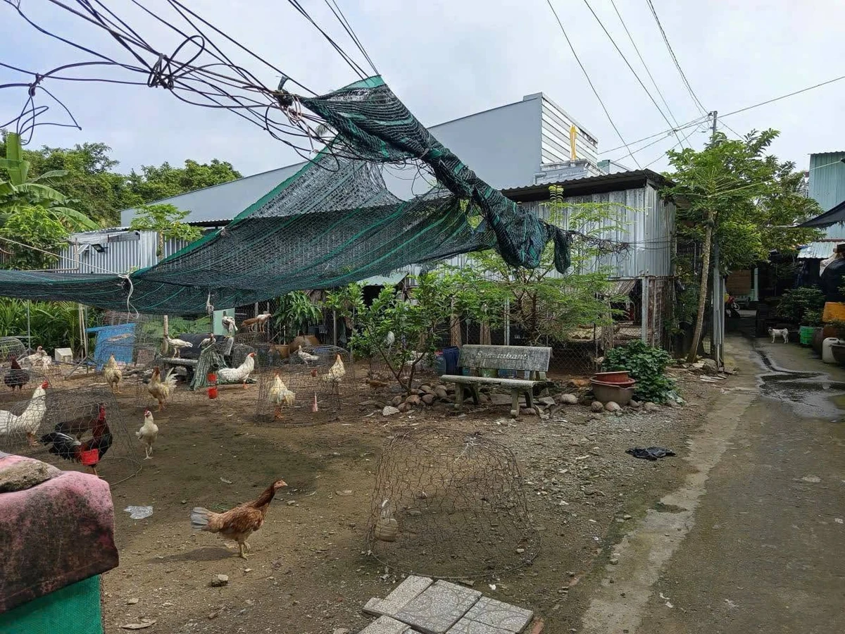 Bán đất nền hẻm Trần Phú, Rạch Giá, An Giang, 233.6m2, 1,6 tỷ - Ảnh thu nhỏ 3