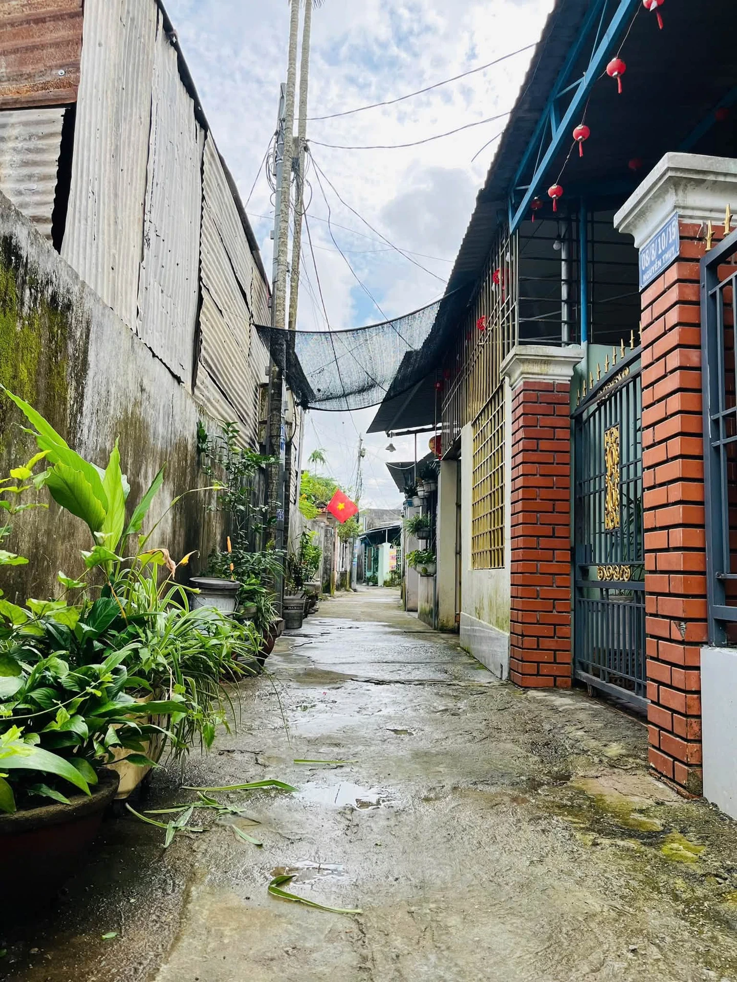 Bán đất hẻm 5x20m Nguyễn Thuỵ Nhà Bè 890 triệu - Ảnh 1