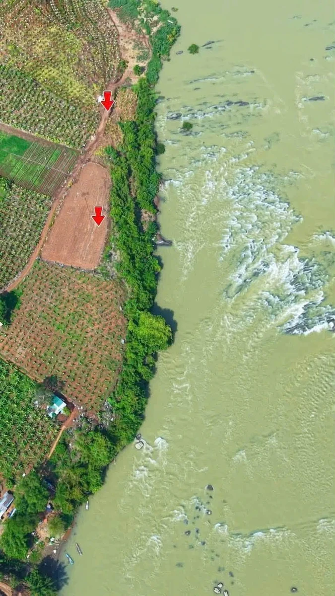 Bán đất view sông 1,5 hecta tại Hòa Phú, Đắk Lắk - Ảnh thu nhỏ 3