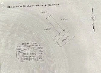 Bán lô đất 106m² mặt tiền Nguyễn Trọng Lội, Lâm Đồng - Ảnh thu nhỏ 5