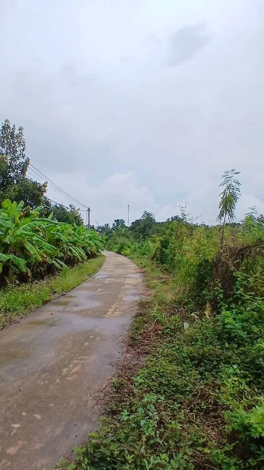 Bán đất 5700m2 Phú Vinh Mới, Đồng Nai, 2 tỷ - Ảnh 1