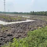Bán đất ruộng 3,6 công mặt tiền QL54 xã Phong Thạnh - Ảnh thu nhỏ 4
