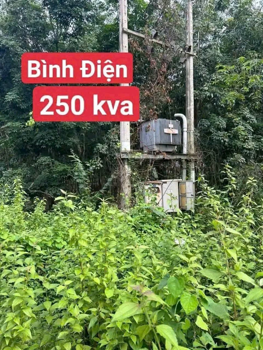 Bán đất SKC 16.458m² Phú Giáo, Bình Dương, giá 20 tỷ - Ảnh thu nhỏ 2