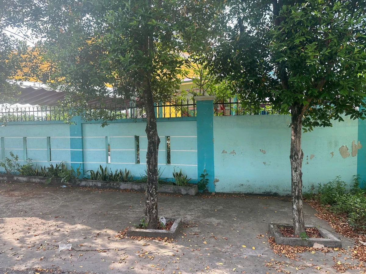 Bán đất mặt tiền Thống Nhất 300m² sổ riêng - Ảnh thu nhỏ 2