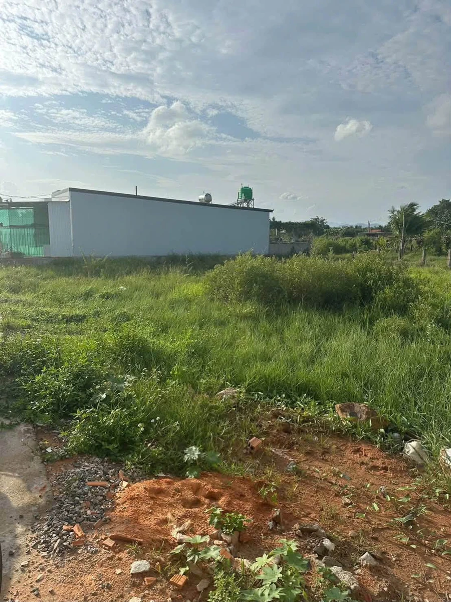 Bán đất 100m² thổ cư Phong Nẫm, Phan Thiết 539 triệu - Ảnh thu nhỏ 2