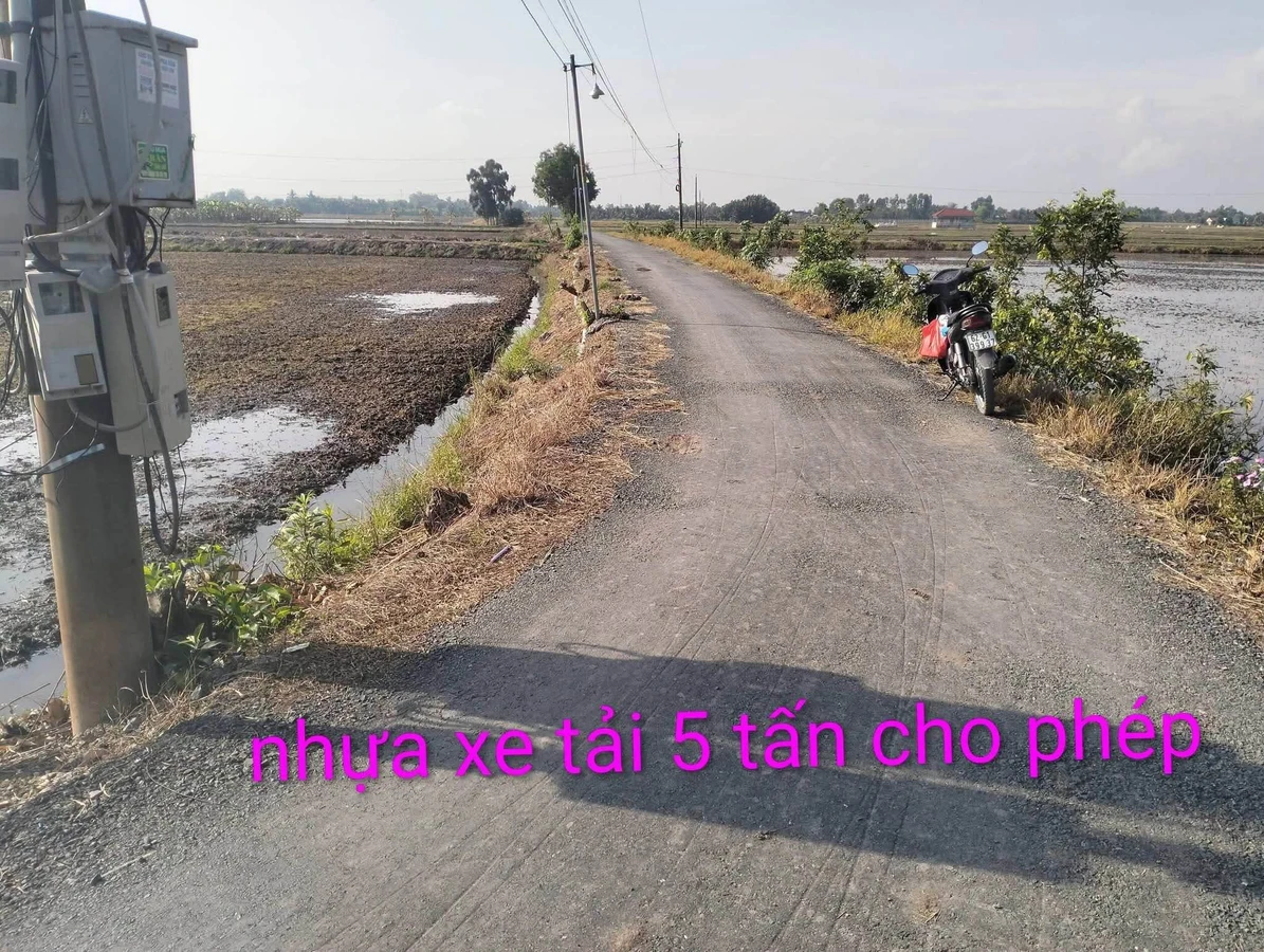 Bán 5665m2 đất lúa An Hòa Mỹ Thạnh Tây Ninh - Ảnh 1