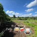 Bán đất 160 m² mặt tiền 15 m Phước An, Nhà Bè - 1,1 tỷ - Ảnh thu nhỏ 2