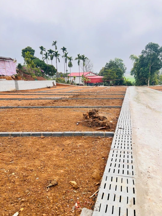 330 triệu, bán đất ở đường Tỉnh Lộ 317, Xã Tu Vũ, Thanh Thủy, Phú Thọ, 105m² giá siêu hời - Ảnh thu nhỏ 4
