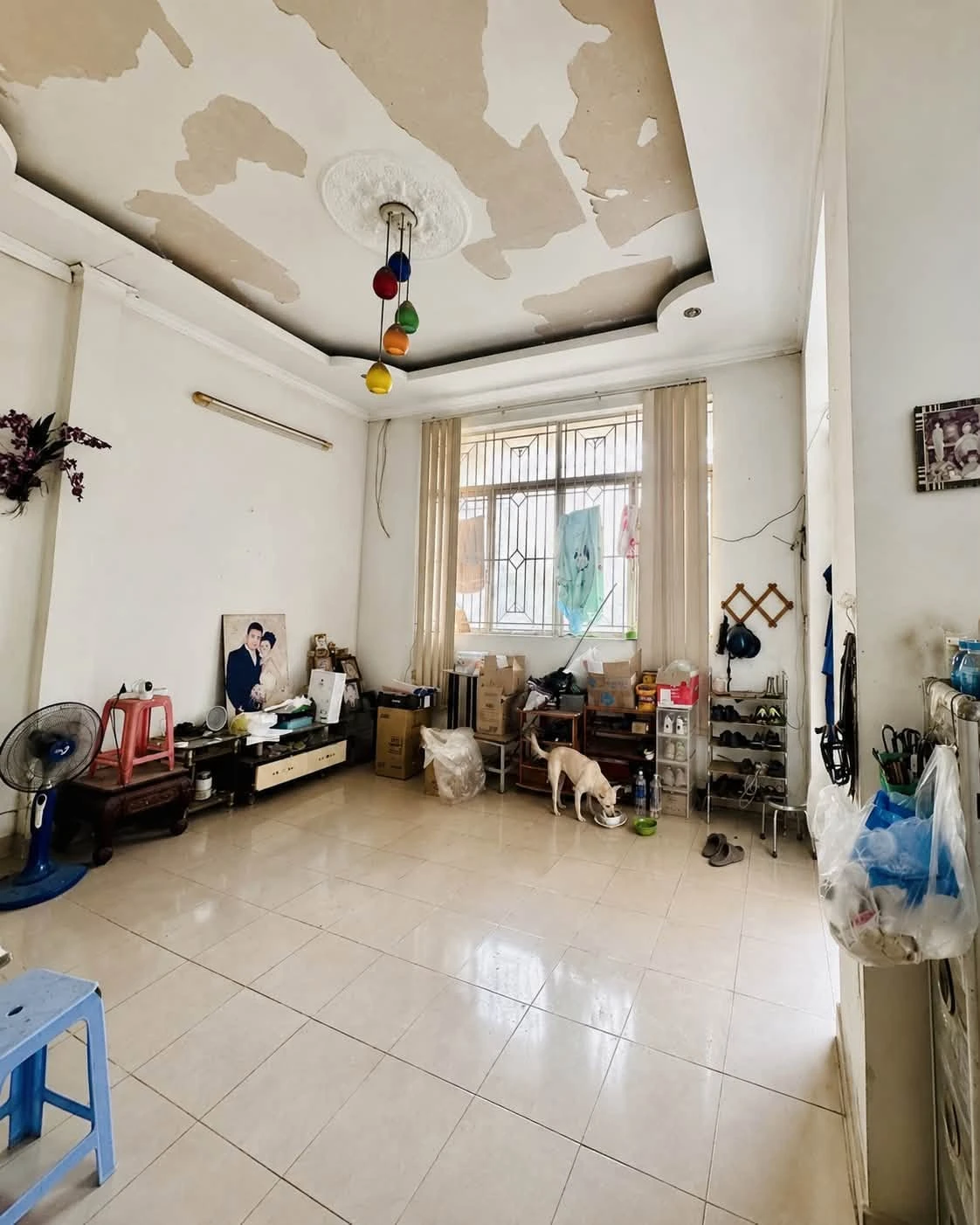 Bán đất tặng nhà 150m² 4PN hẻm ô tô gần chợ Hiệp Bình, Thủ Đức, giá 6,8 tỷ - Ảnh 1