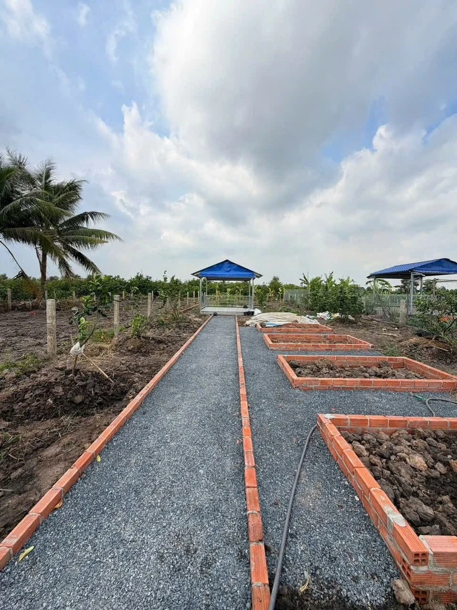 Bán nhà vườn 540m² giá 950 triệu Thủ Thừa, Long An - Ảnh 1