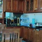 Bán đất Phú Hưng Bến Tre 530m2 1 tỷ 250 triệu - Ảnh thu nhỏ 4