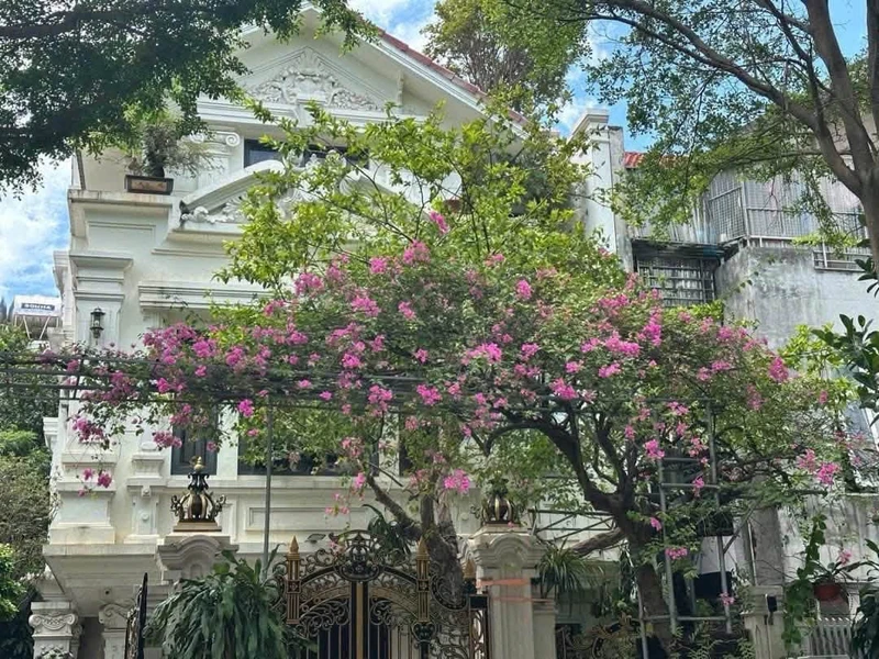 Bán biệt thự Văn Phú 201m, 3 tầng, 30 tỷ