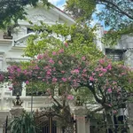 Bán biệt thự Văn Phú 201m, 3 tầng, 30 tỷ - Ảnh thu nhỏ 1