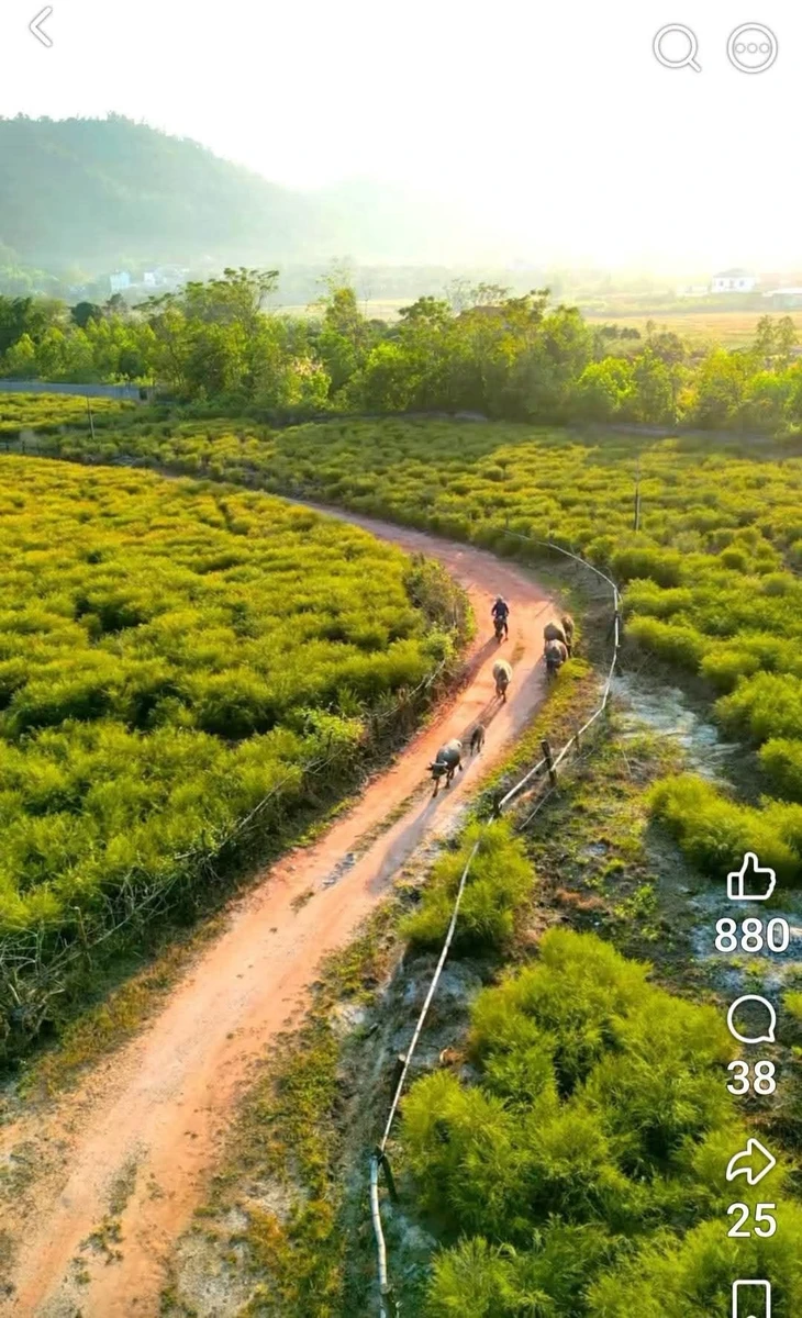 Bán đất nghỉ dưỡng 2600m² gần chùa Côn Sơn, Hải Phòng - Ảnh thu nhỏ 4