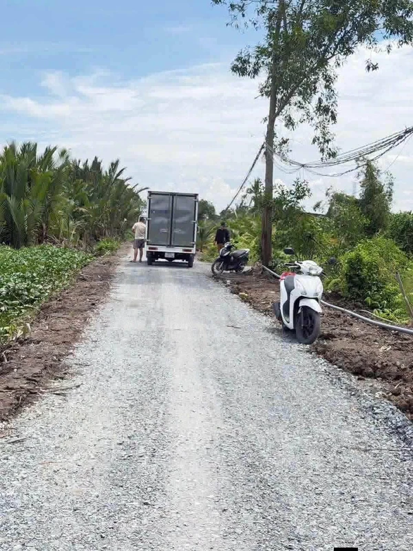 Bán đất vườn trồng dừa 1.300m2 mặt tiền kênh tại Lương Hòa, Bến Lức, Long An