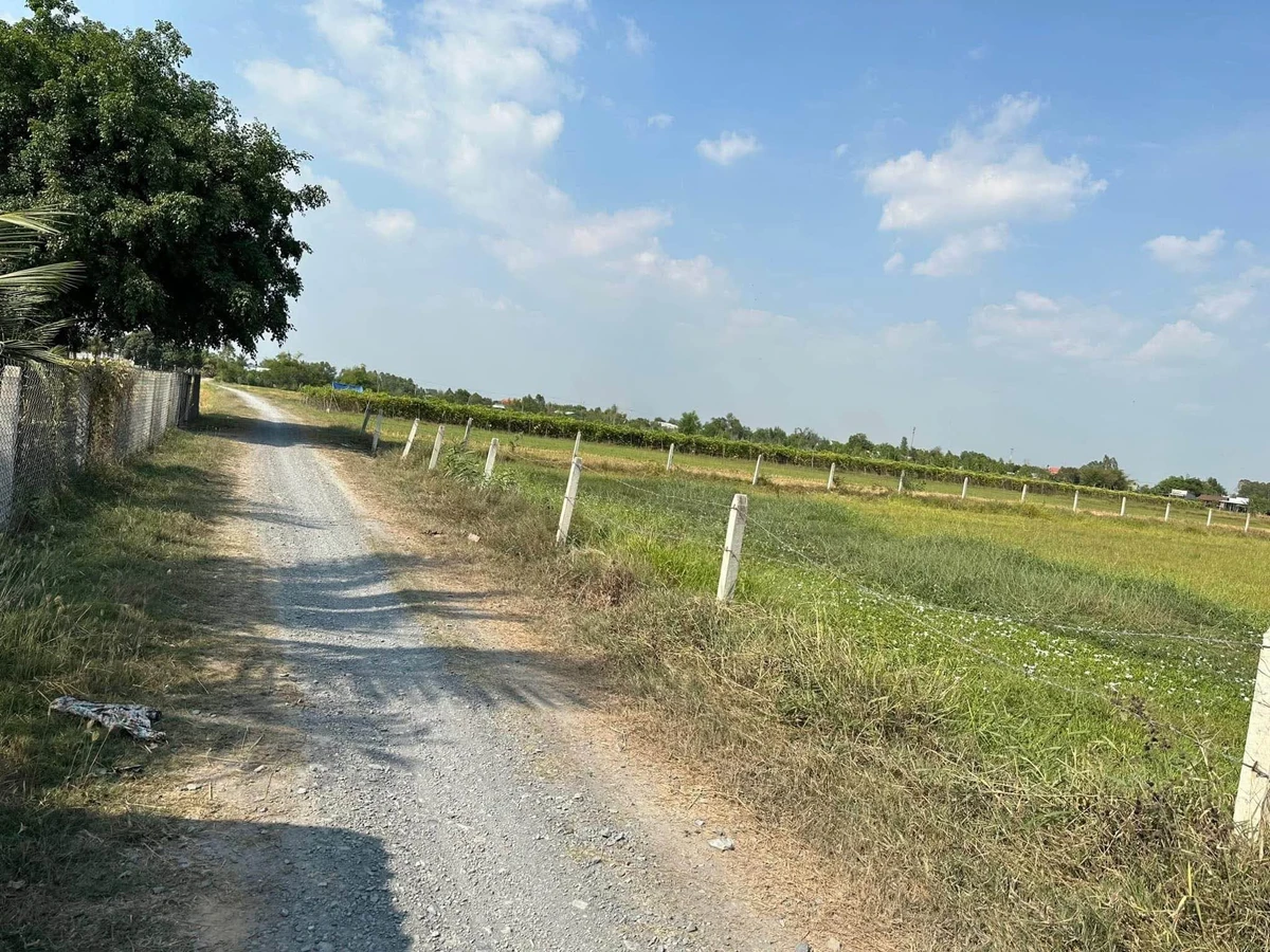 Bán đất Ấp Mỹ Thạnh Đông, Tây Ninh 2.446 m² giá 3.5 tỷ - Ảnh thu nhỏ 4