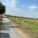 Bán đất Ấp Mỹ Thạnh Đông, Tây Ninh 2.446 m² giá 3.5 tỷ - Ảnh thu nhỏ 4