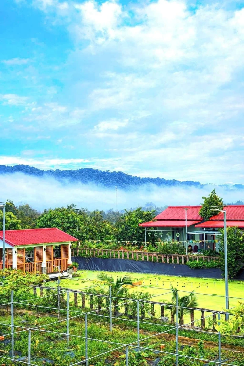 Bán đất nông nghiệp 25.000m2 Nam Cát Tiên, Đồng Nai - Ảnh thu nhỏ 2