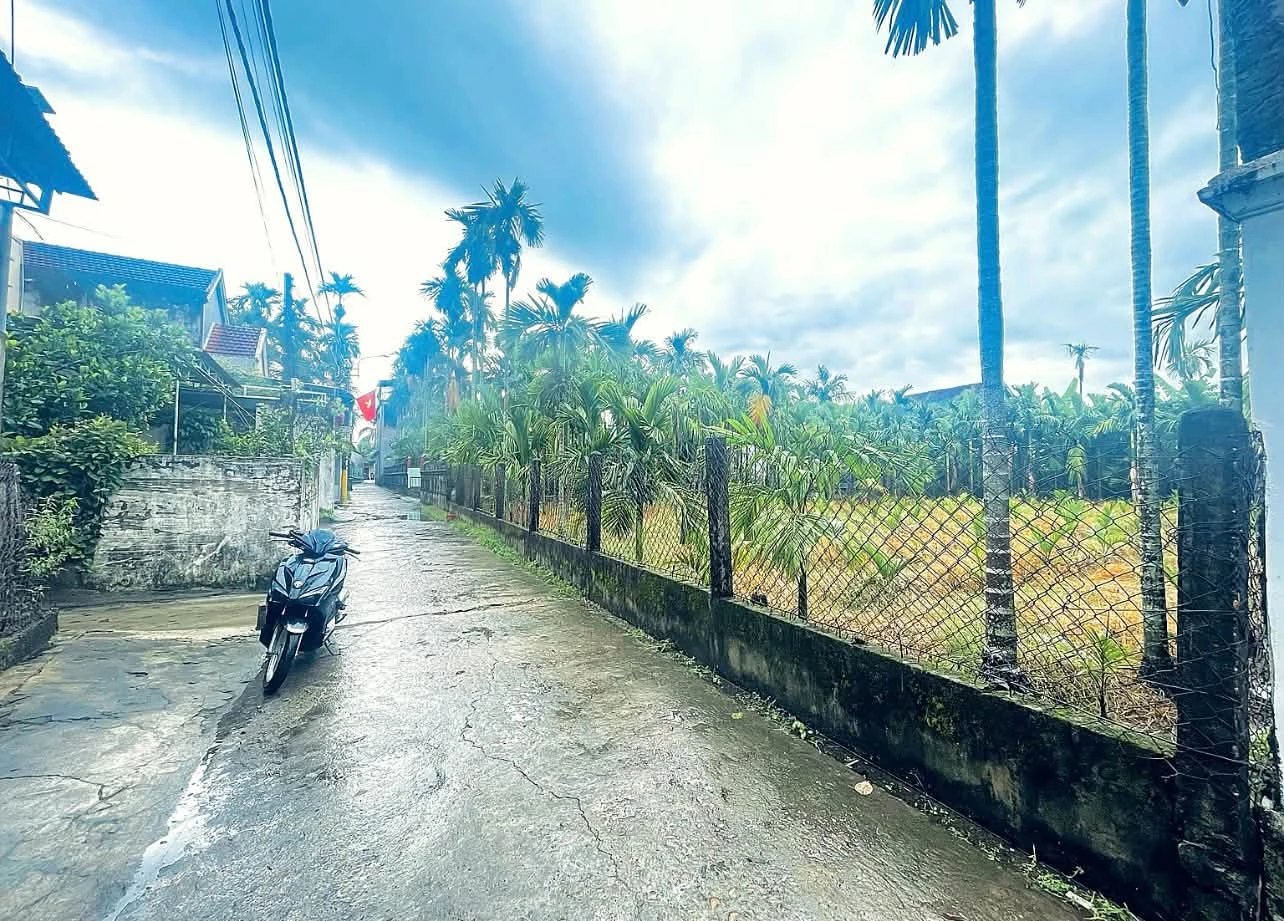 Bán lô đất 112.5m² Ba La, Nhà Bè - Ảnh 1