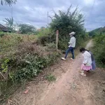 Bán đất 99m² Ninh An, Ninh Hòa, Khánh Hòa 300 triệu - Ảnh thu nhỏ 2
