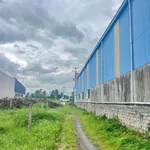 Bán đất thổ cư 200m2 xã Hàm Mỹ Cũ, Lâm Đồng - 1 tỷ - Ảnh thu nhỏ 3