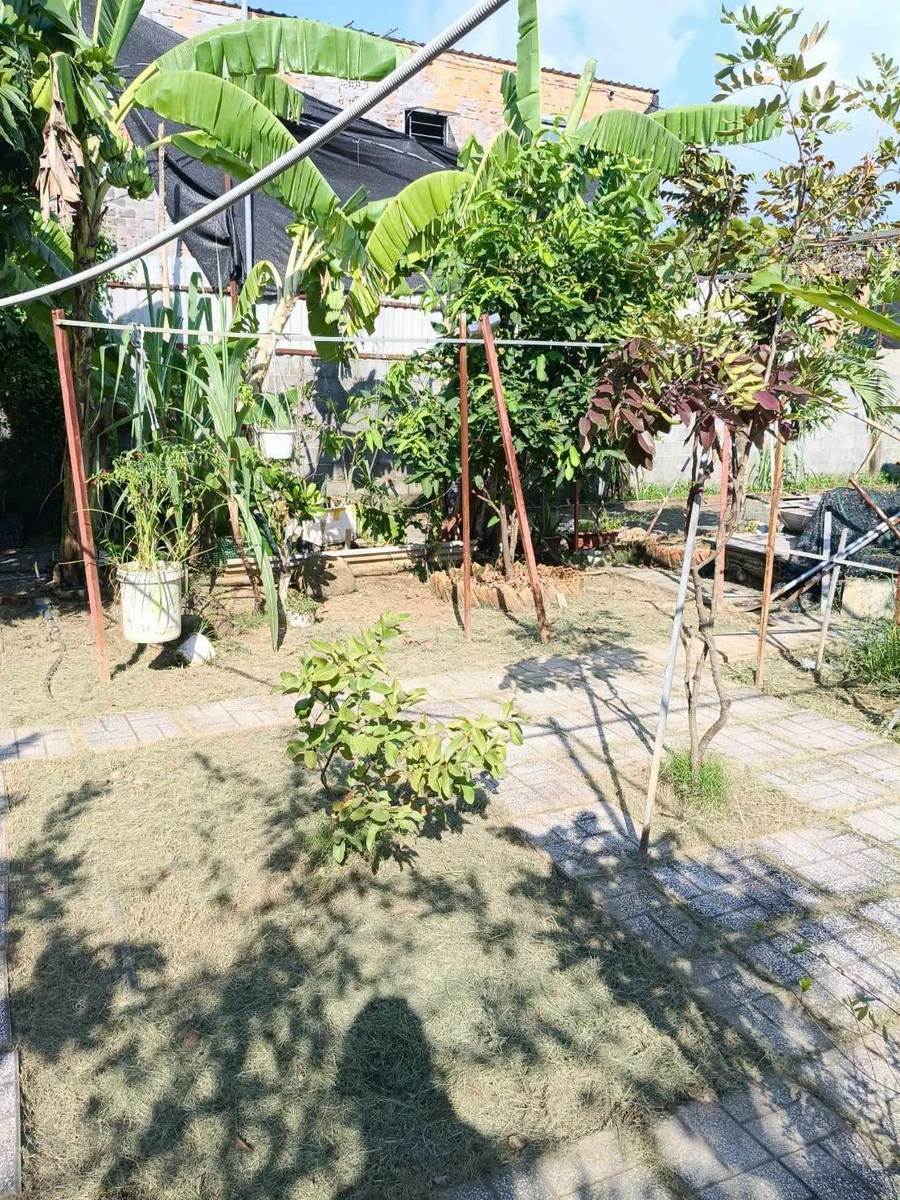 Bán đất Phường Bửu Long 300m2 1 tỷ 650 triệu - Ảnh thu nhỏ 4