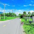 Đất 2 mặt tiền trước sau Phước Hải - siêu đẹp - 2005m2 - 21x94m cần bán gấp - Ảnh thu nhỏ 9