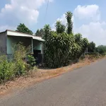 Bán nhà cấp 4 sổ riêng 360m² Ấp 8 Tân Lập Bình Chánh 460 triệu - Ảnh thu nhỏ 4