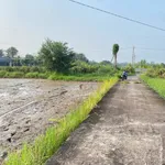 Bán 300m² đất thổ cư Hàm Đức, Bình Thuận 800 triệu - Ảnh thu nhỏ 4