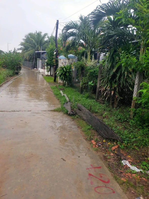 Bán nhà Ninh Sơn Bắc Ninh 550m2