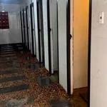 Bán quỹ đất 2.000m² 2 mặt tiền QL1A Tuy Hòa - Ảnh thu nhỏ 4