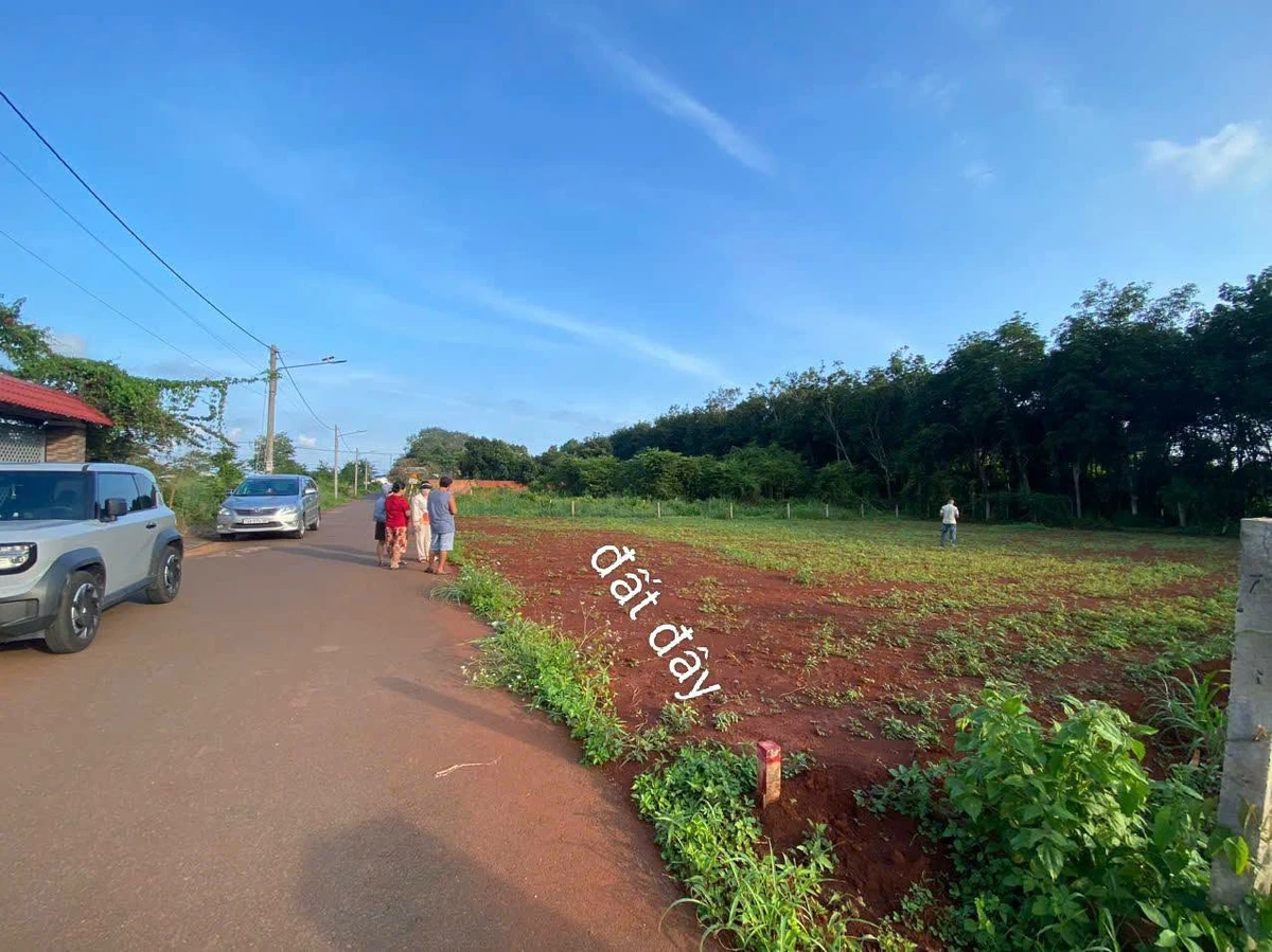 Bán đất 1.074m2 (100m2 thổ cư) Long Tân, xã Đất Đỏ, giá 2,45 tỷ - Ảnh thu nhỏ 2