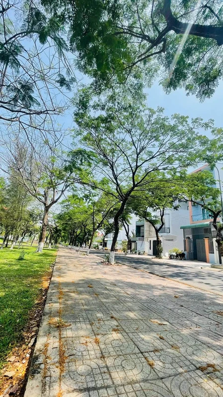 Bán đất 100m2 đường Nguyễn Trãi Trảng Bom 2 tỷ 600 triệu