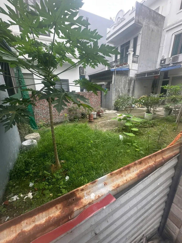 Bán đất 52m2 Tiền Phong Đằng Hải Hải Phòng 1tỷ6