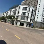 Bán đất mặt tiền 116m² Quy Nhơn 4 tỷ 3 - Ảnh thu nhỏ 1