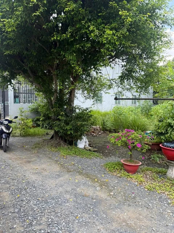 Bán đất thổ cư 100m² Ấp 1, Xã An Thạnh, Bến Lưc, Long An