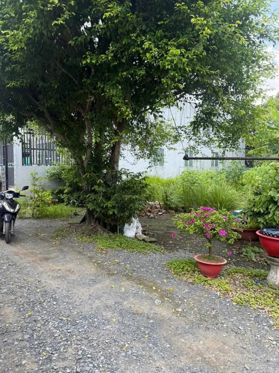 Bán đất thổ cư 100m² Ấp 1, Xã An Thạnh, Bến Lưc, Long An - Ảnh 1
