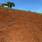 Bán lô đất 1500m² tại Phường Nghĩa Phú, Gia Nghĩa, Đắk Nông - Ảnh thu nhỏ 3