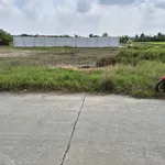 Bán đất mặt tiền 150m² Phước Tuy Cần Đước 799 triệu - Ảnh thu nhỏ 2
