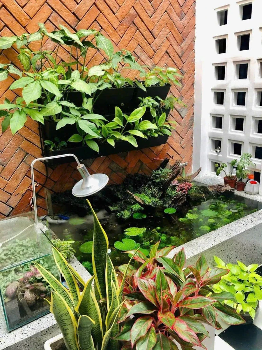 Bán nhà 1 trệt 1 lầu 90m² Phan Thiết Bình Thuận 3.8 tỷ - Ảnh thu nhỏ 2