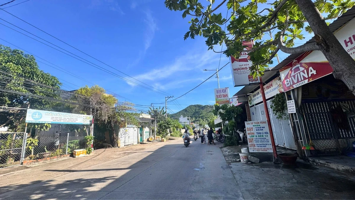 Bán lô đất mặt tiền Phong Châu 281m2, 6 tỷ 7 - Ảnh thu nhỏ 2