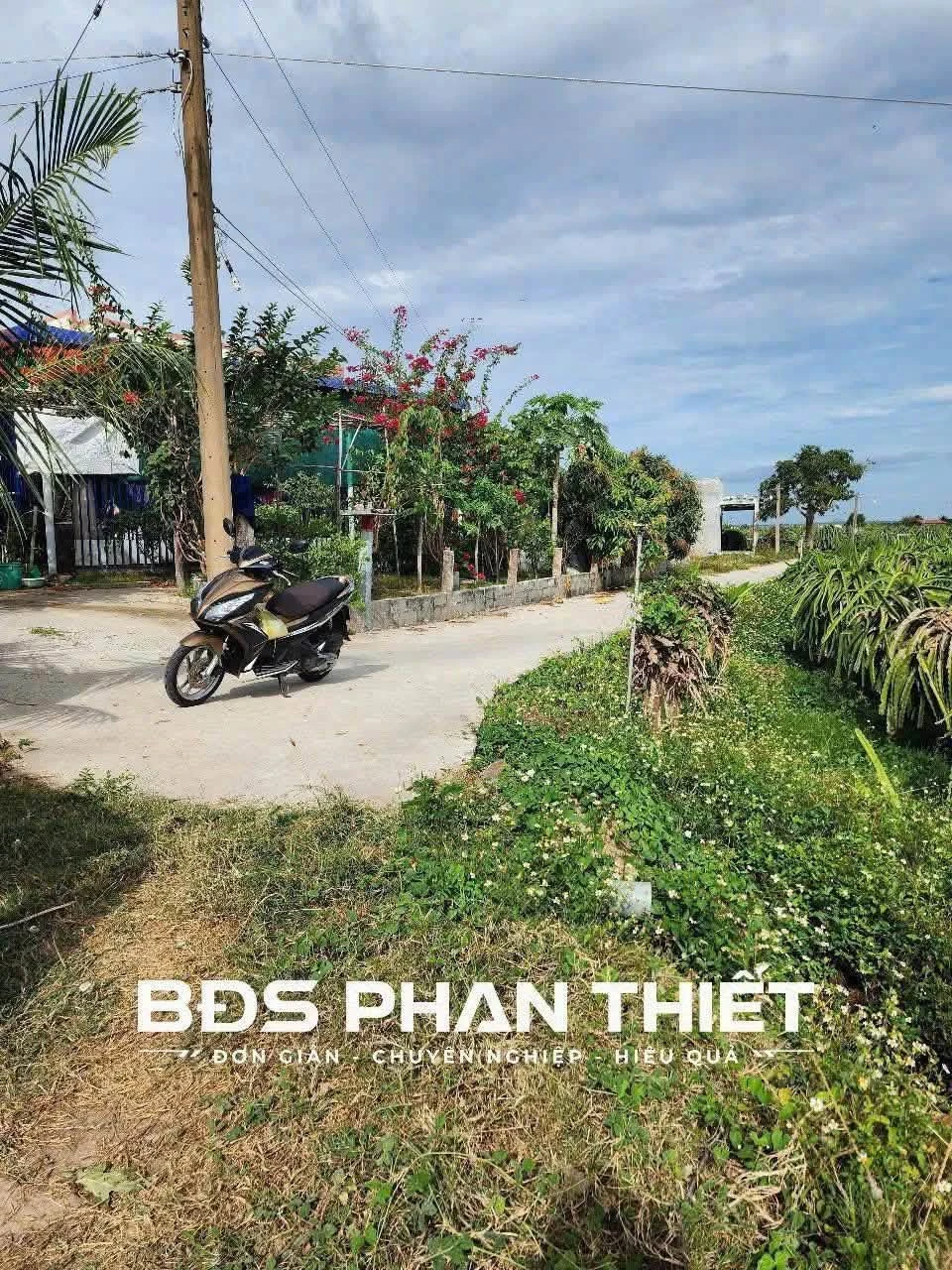 Bán đất vườn Hàm Liêm 976m² đường bê tông 5m - Ảnh 1