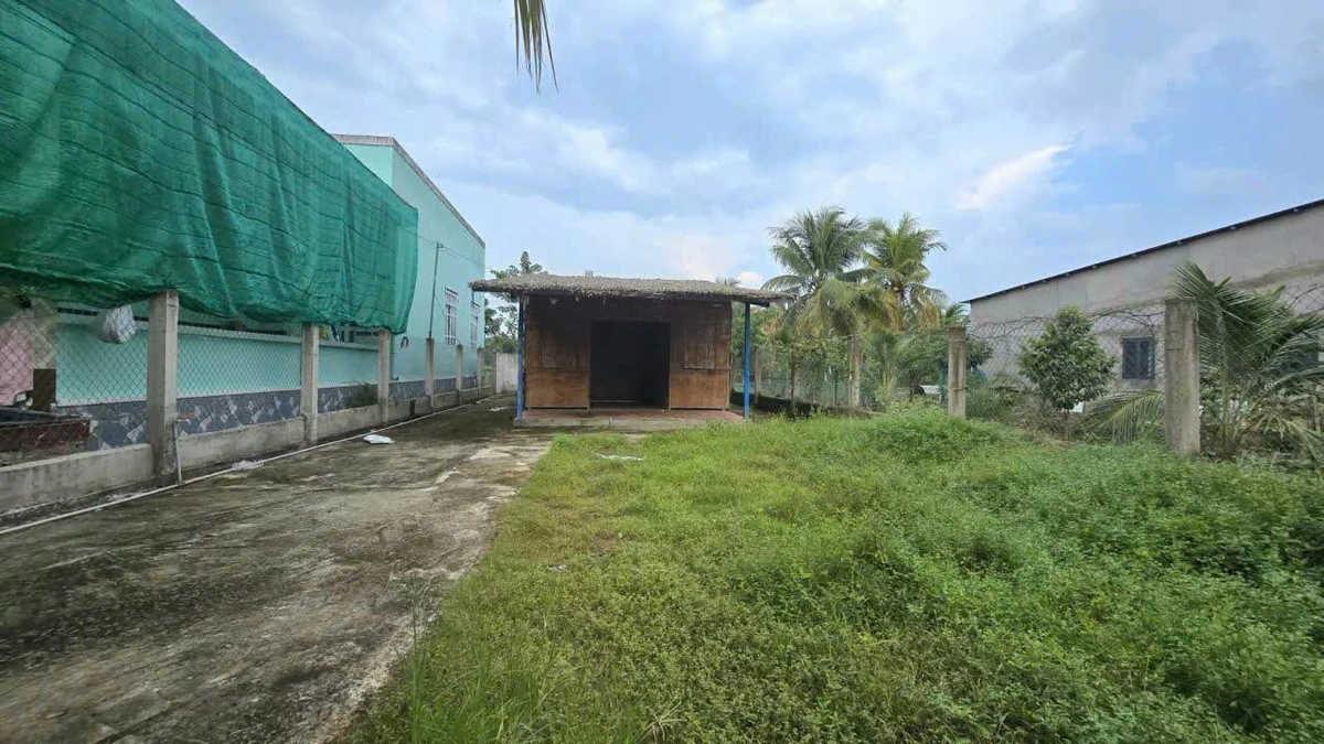 Bán đất 578m2 tặng nhà mát tại Phường Sơn Đông, Bến Tre, giá 1,6 tỷ - Ảnh thu nhỏ 4
