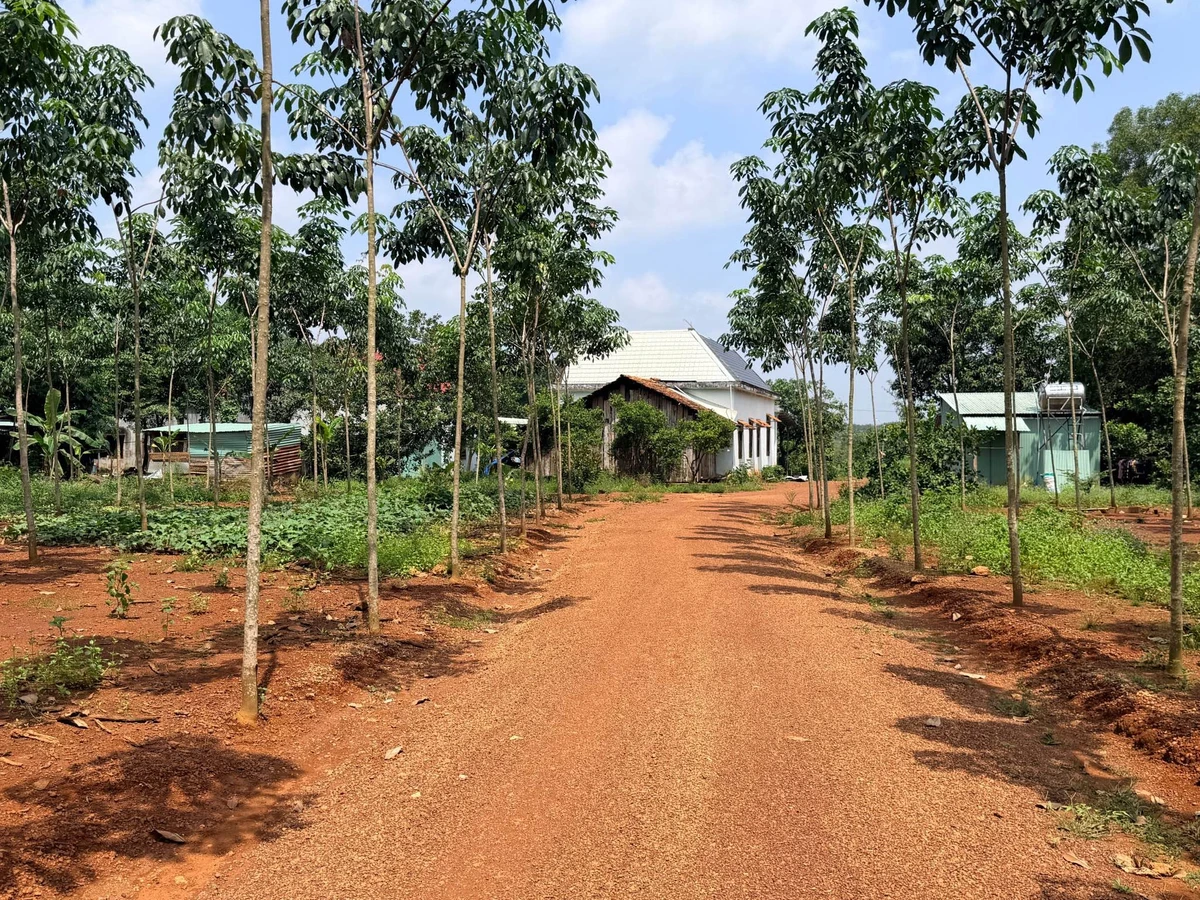 Bán đất Tân Hoà Đồng Phú 4.000 m², giá hơn 400 triệu - Ảnh thu nhỏ 4