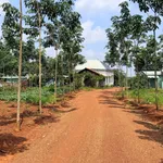 Bán đất Tân Hoà Đồng Phú 4.000 m², giá hơn 400 triệu - Ảnh thu nhỏ 4